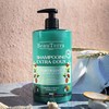 BeauTerra Shampoo Fortificante Extra Suave con hidrolizado de queratina. Shampoo