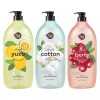 ShowerMate 샤워메이트 프레쉬 바디워시1.2kg 베리/코튼/유자 [유자] Shower Mate Fresh Body