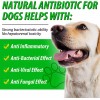 Oimmal Natural Antibiotic for Dogs Allergy Relief Apple Cider Vinegar