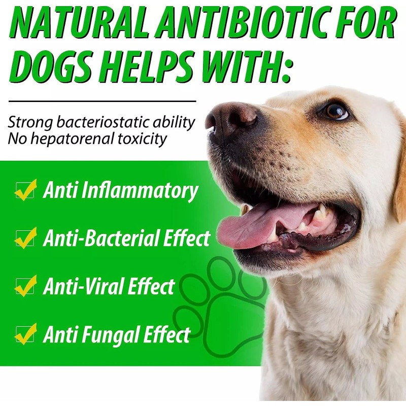 Oimmal Natural Antibiotic for Dogs Allergy Relief Apple Cider Vinegar