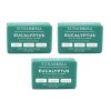 BL Sunaroma Soap Bar Eucalyptus With Tea Tree + Ginger 8oz X 3 Counts