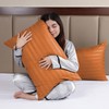 BedLooms Rust Pillow Cases 2 Pack - 100% Microfiber Envelope