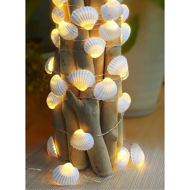 Cynzia Natural Seashells String Lights, 40LED Beach Decoration USB Plug