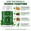 Support Supplement, Comfort, Mobility & Flexibility, Turmeric Root Extract 4:1,