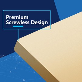 LIDER Double Blank Wall Plate, Temperature and Impact Resistant, UL Listed, Polycarbonate Thermoplastic, Screwless Design, Matte Finish, Modern Upgrade, Midsize, 2-Gang, 4.88” x 4.92”, Gold, 10 Pack