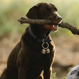 Extra Loud Cat & Dog Bell for Collar, Pet Tracker & Falconry, Durable Brass Collar Charms with Swivel Lobster Clasp