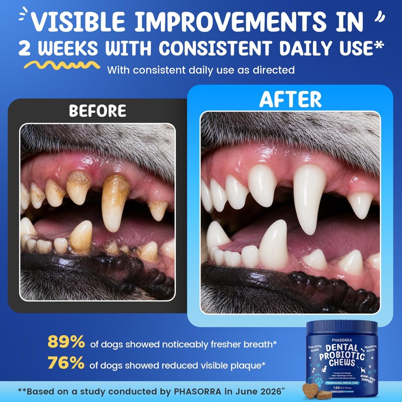 PHASORRA Dog Dental Probiotic Soft Powder Chews, 120 Count, Kelp