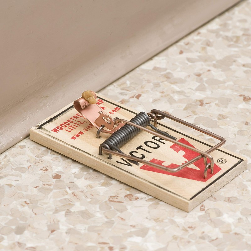 Victor M158-4 Metal Pedal Mouse Trap, 32 Traps