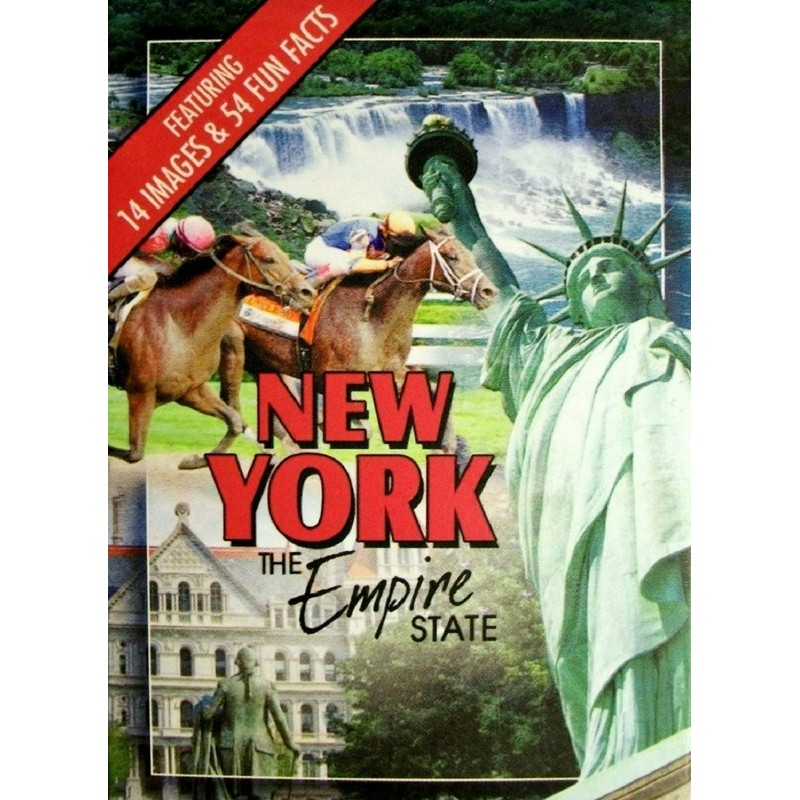 Saddle Mountain Souvenir New York The Empire State Playing Cards