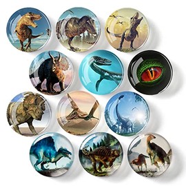 12Pcs Fridge Magnets Dinosaur Refrigerator Magnets Succulent Whiteboard Magnets Kitchen Office Teacher Student Glass Refrigerator Magnet for Mother's Day