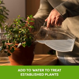 Big Foot Probiotic Root Boost Water Soluble Powder for Established Plants and Transplants - Grow Root Size, Increase Nitrogen, Grow New Plants from Cuttings, Pea Inoculant - 2 Ounces