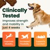 VETRISCIENCE Glyco Flex® 2 Hip and Joint Supplement for Dogs,