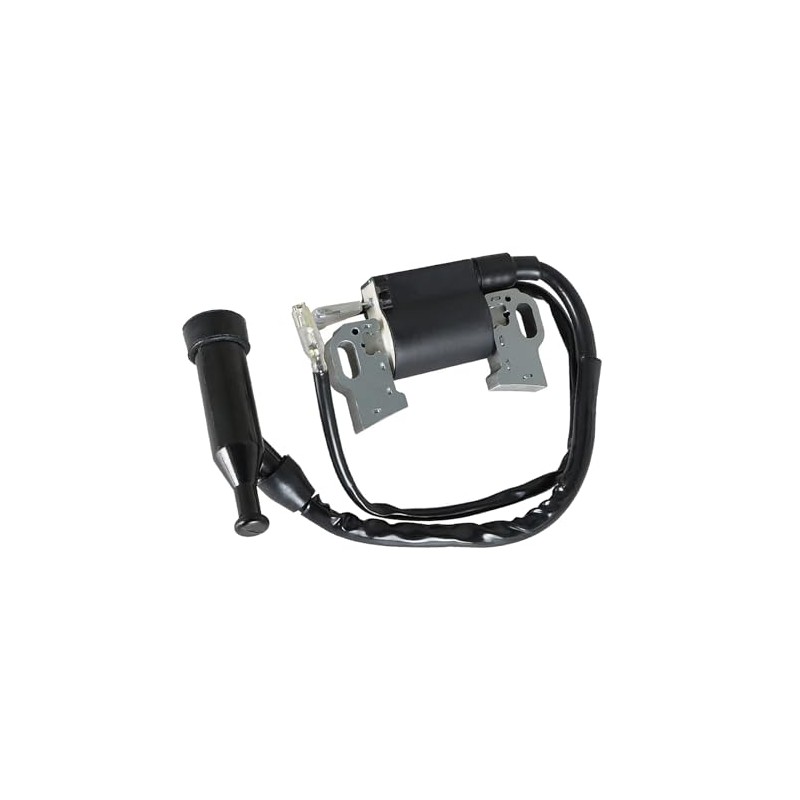 IGCLINIC Ignition Coil Compatible with Generac 7117 GP22001 2200W Inverter
