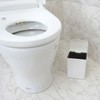 Towa Sangyo PL2 Sanitary Box, Corner Pot, White