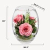 Fiora Flower | Long Lasting Real Roses in a Sealed