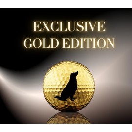 CybGene Golden Retriever Gifts Golf Balls Set, Golf Gifts, Cool Accessories for Golfers, Wiener Dog Gifts for Golf Lovers, Perfect for Christmas & Birthday
