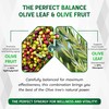 Nessarit Olive Leaf & Olive Fruit 9,100mg with 60% Oleuropein