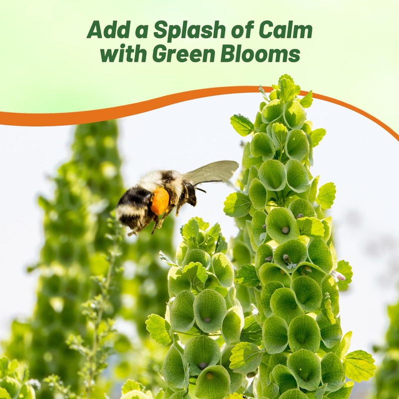 Outsidepride Green Wildflower Seed Mix - 5000 Pcs Annual, Vibrant,