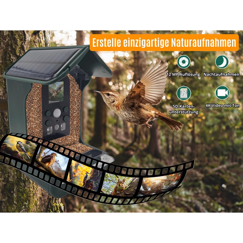 Berger & Schröter Bird Feeder with 1080P Camera, Solar Water