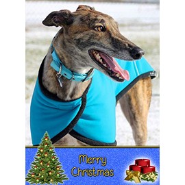 Greyhound Dog Christmas Card 'Merry Christmas' - Special Animal Xmas Card for Him Her from Pets Kids