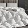 Hotel Grand White Goose Down Fiber Comforter Twin, Extra Warmth