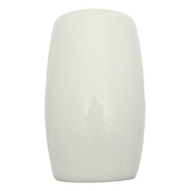 Peacock China Salt and Pepper Shakers Cruet Set Modern White CSP 263