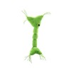 GIANTmicrobes Nerve Cell Plush – Learn About Your Nervous System