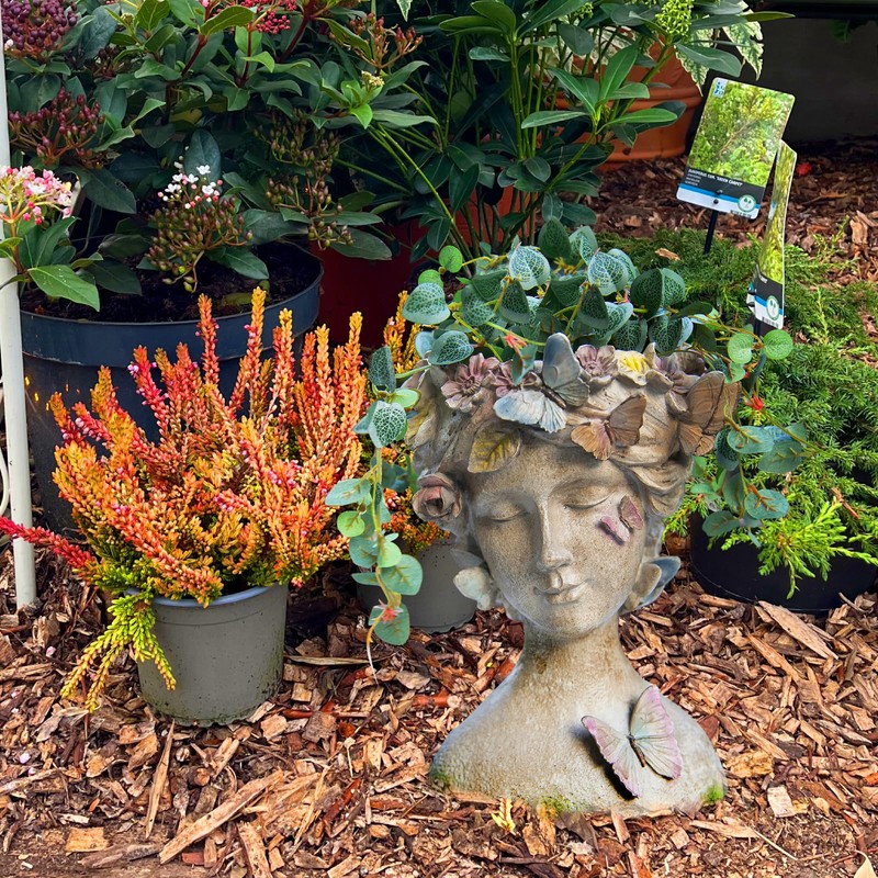 LC LCdecohome Face Flower Pot Head-Planters Succulent - 10 Inch