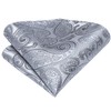 Hi-Tie Grey Paisley 63inches Tie Set for Men: Long Silk