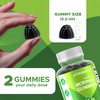 Vitamatic 2 Packs Sugar Free Moringa Gummies- 10000 mg Equivalent