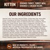 Wellness CORE Natural Grain Free Dry Cat Food