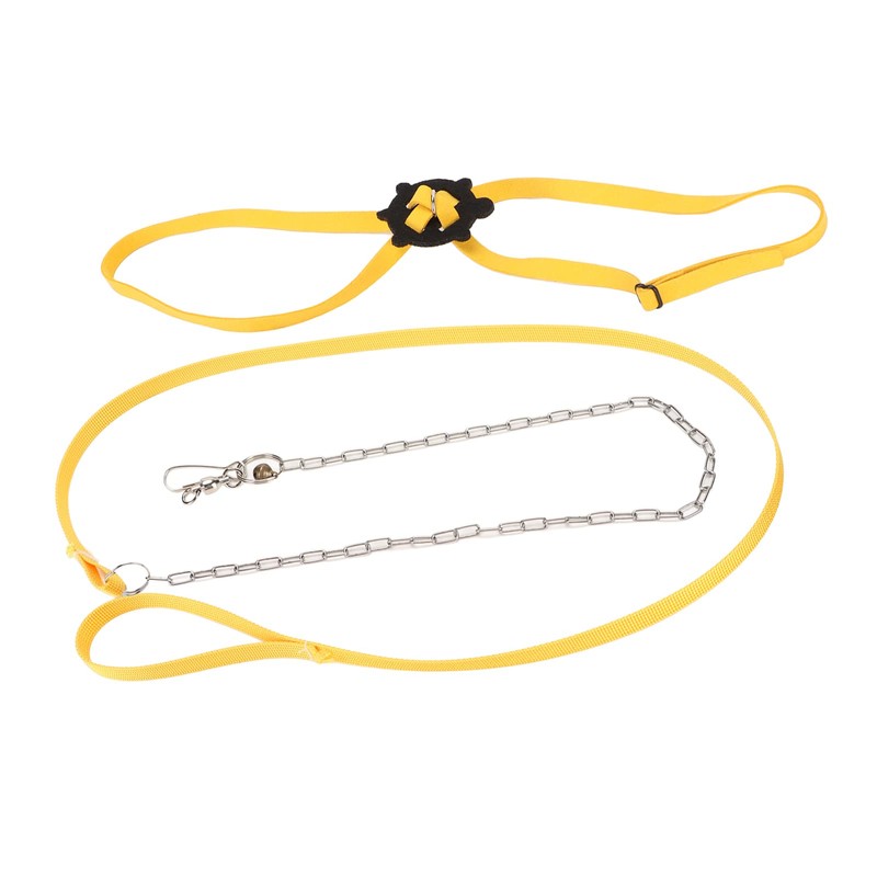 Turtle Harness Leash, Interchangeable Skin-Friendly Pet Harness, Reptile Leash for