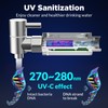 Membrane Solutions UV Countertop Gravity Water Filtration System Replacement Filter