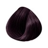 L'Oréal Professionnel Tone-on-tone hair colour 4.20: chestnut brown, intense