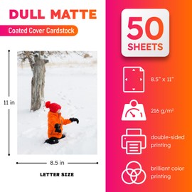 Dull 80lb Cover Digital Low Gloss Cardstock, Double Sided C2S, Coated, Perfect for Color Laser Printing, Design Proposals, Business Cards, Flyers, Brochures | Matte Finish | 8.5" x 11" | 50 Sheets