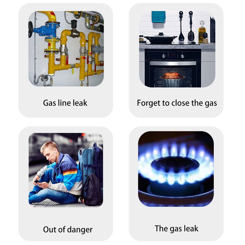 WiFi Combustible Gas Alarm Methane Natural Gas Leakage Detector Sound