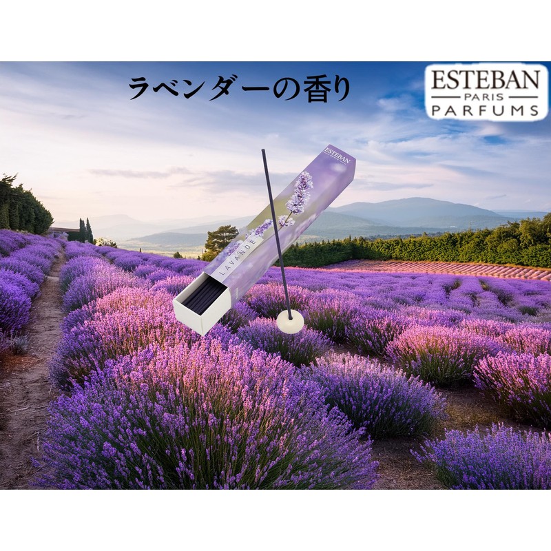 ESTEBAN Esprit De Natural Lavender Sticks 40 Sticks Combines French