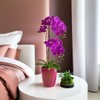 Santino ORCHIDEA Self-Watering Orchid Pot - 15CM Self-Watering Decorative Planter