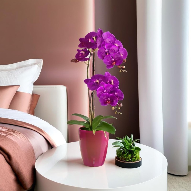 Santino ORCHIDEA Self-Watering Orchid Pot - 15CM Self-Watering Decorative Planter