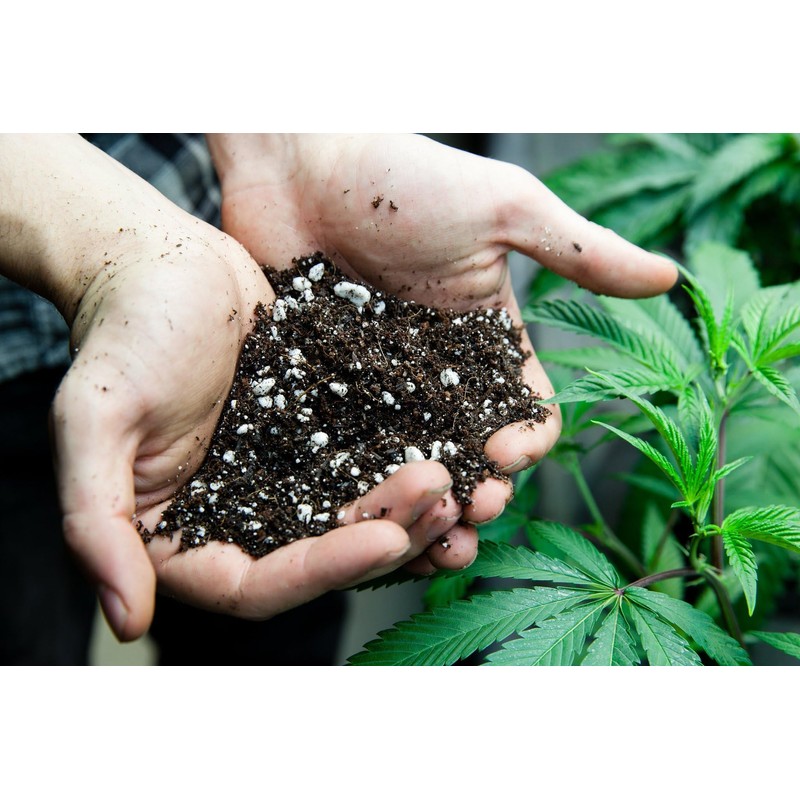 Gardenera Premium JUST-ADD-WATER Organic Potting Soil Mix - High-Yield Formula