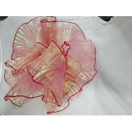 7Yards Ruffled Lace Fabric for Fashion Designers, Ideal for DIY Clothing and Sewing Decoration, Includes Silk, Organza Ribbon, Iridescent Ribbon, and Fabric Trim (Iridescent Red)