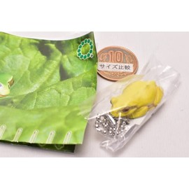 Nature Technicolor Mono Plus Amagag Magnet & Ball Chain (Resale) [16. Albino (Ball Chain)] (Single Item)