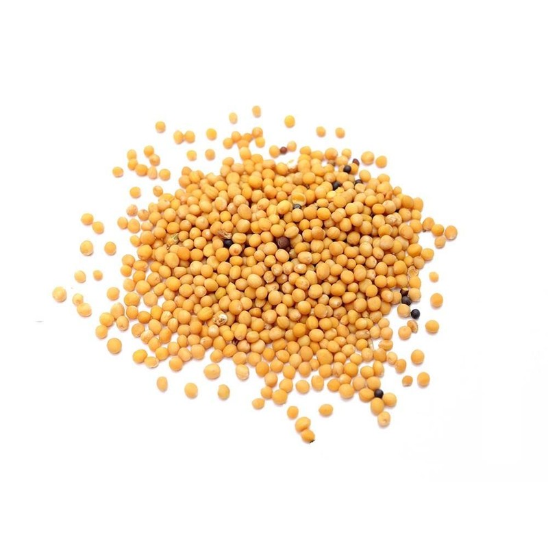 Organic Yellow Mustard Seeds 250g by Manor Springs Organic