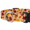 Country Brook Design 5/8 Inch Adjustable Dog Collar for Small,