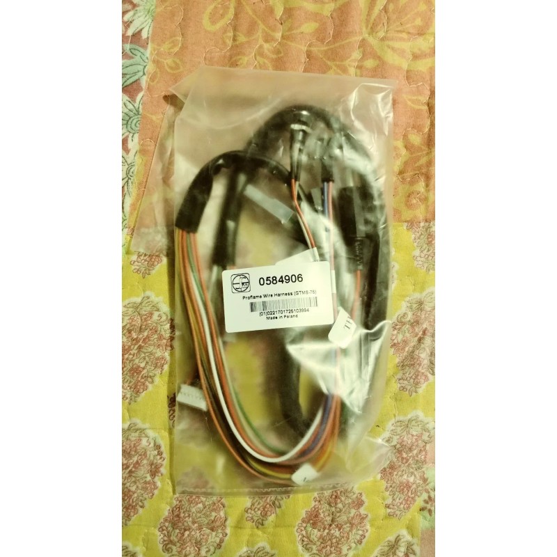 SIT Proflame Wire Harness 0584906 (GTMS-75)