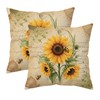 Doobicy Vintage Car Throw Pillow Covers 18x18 Set of 2