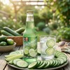 Rocket Fizz Cucumber Soda Flavor | Cane Sugar | Craft