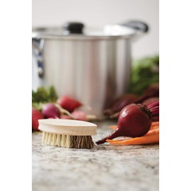 Fox Run 74907 Natural Vegetable Brush, Tampico Fiber Bristles, Not Applicable, 4.5"