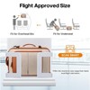 Bagsure 42L Travel Backpack, Hidden Straps, 3 Packing Cubes, Laptop