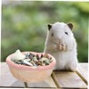 COLLBATH Ceramic Pet Bowl for Guinea Pig Hamster Rabbit Pet